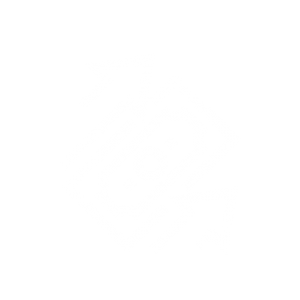 Business finance process solutions