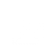 Document distribution solution