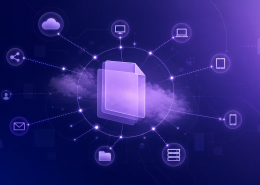 Document distribution system guide for UK organisations